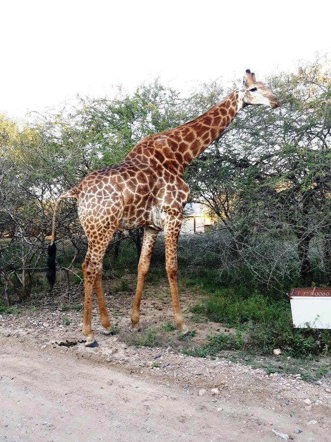 African Sky Villa Marloth Park Exterior photo